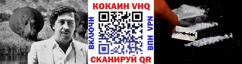 Кокаин Fish Scale  блэк спрут онион  Инта 