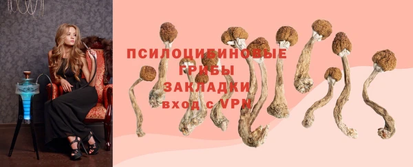 индика Абдулино