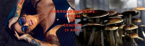 индика Абдулино