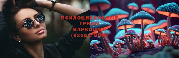 индика Абдулино