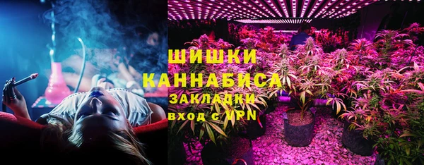 тгк Абаза