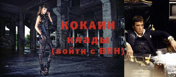 тгк Абаза