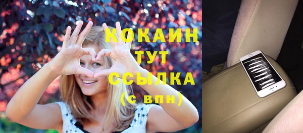 тгк Абаза