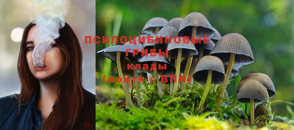 тгк Абаза