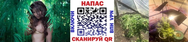 MEGA маркетплейс  Инта  МАРИХУАНА сатива 